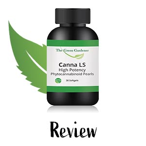 how long does 50mg of cbd last in your system